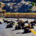 Mistakes in Crete
