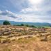 PHAISTOS PALACE CRETE