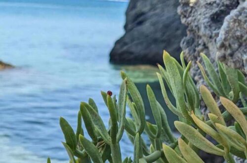 HOW MANY DAYS IN CRETE