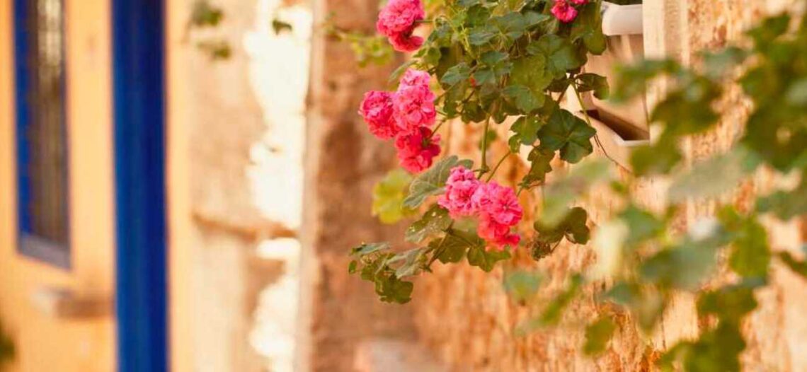 Best hotels in Chania city